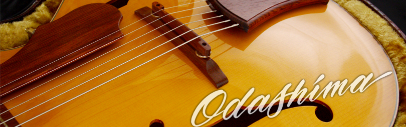odashima guitars
